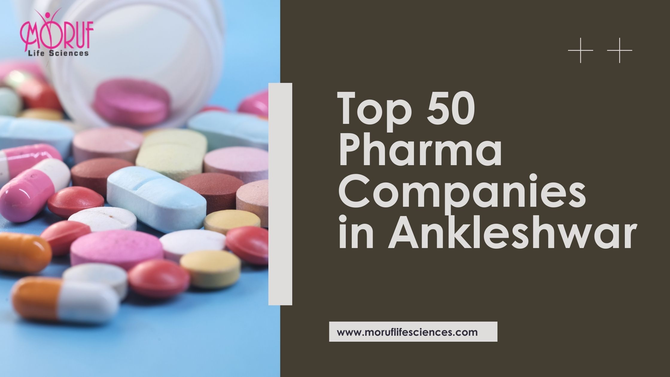 Top 50 Pharma Companies in Ankleshwar