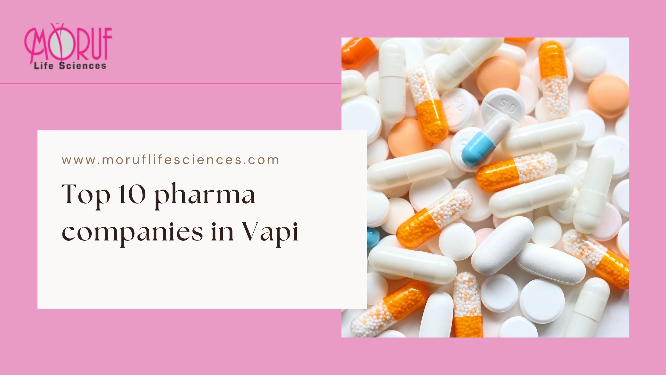 Top 10 pharma companies in Vapi
